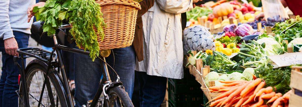 Les Marchés du Mans : Une Tradition Sarthe à Découvrir